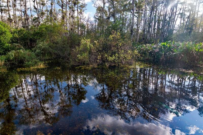 big cypress national preserve