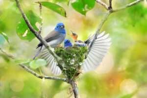 Image of a Mountain Bluebird perched on a branch against a clear blue sky. The bird is easily identifiable by its vivid blue plumage covering its head, back, and wings, with a lighter blue on its chest and belly, showcasing the striking colors that make it a standout species in its mountainous habitat.