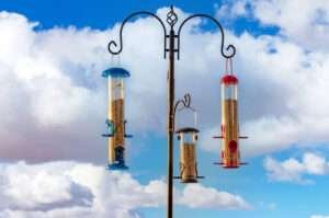 The Bird Feeder Pole is a sturdy pole that features multiple feeders that attract various birds.