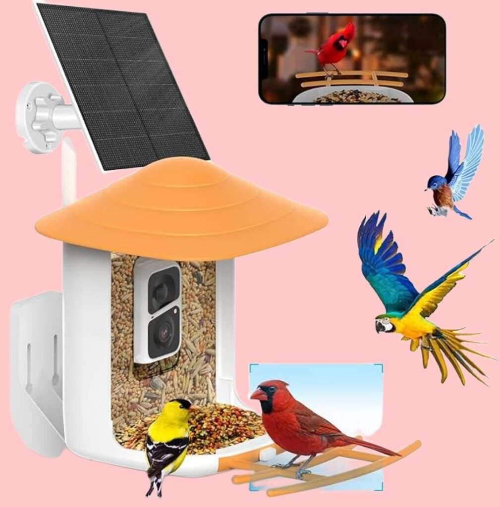 The Bird Feeder Camera is a high-tech feeder that captures live bird footage.